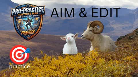 🎯BABY GOAT AIM AND EDIT TRAINING🐐