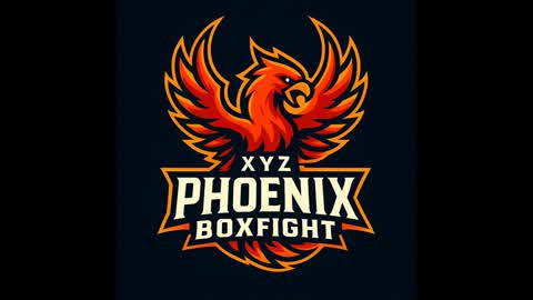 XYZ Phoenix BOXFIGHT