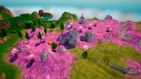 Island image