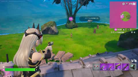 Rapid Zero Build 1v1 bot