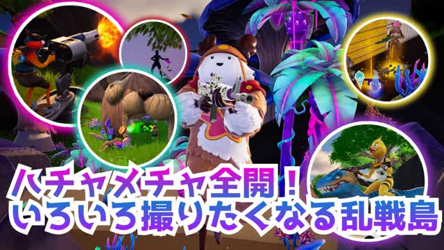 ハチャメチャ全開！いろいろ撮りたくなる乱戦島