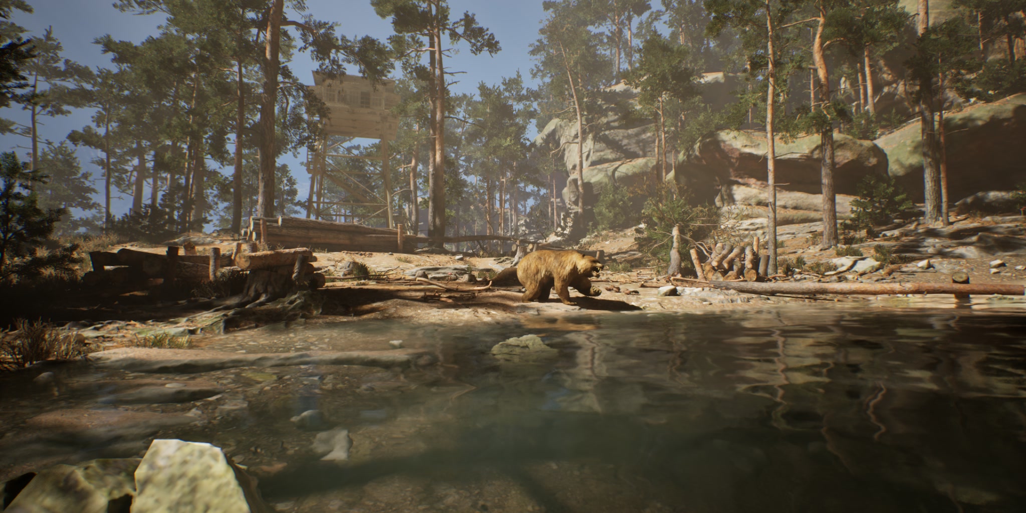SNEAKY SNIPERS FOREST [ONE SHOT]
