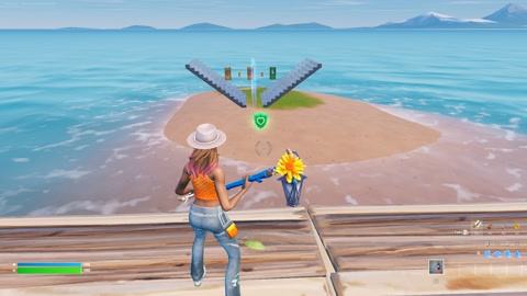Island image