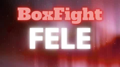 BoxFight Hemiolunior! 🦉