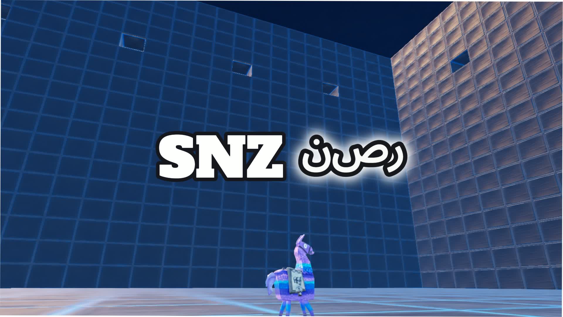 SNZ ナスル