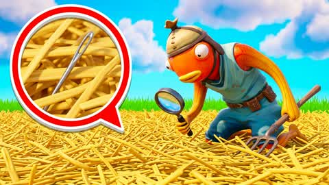 🔎 Find a Needle in a Haystack🌾