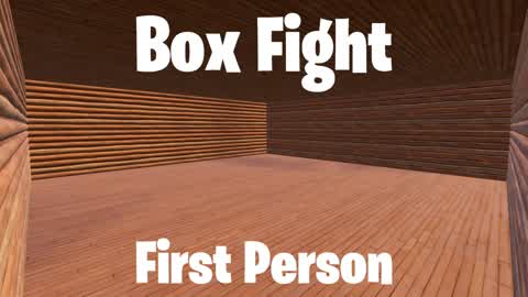 First Person Box Fight