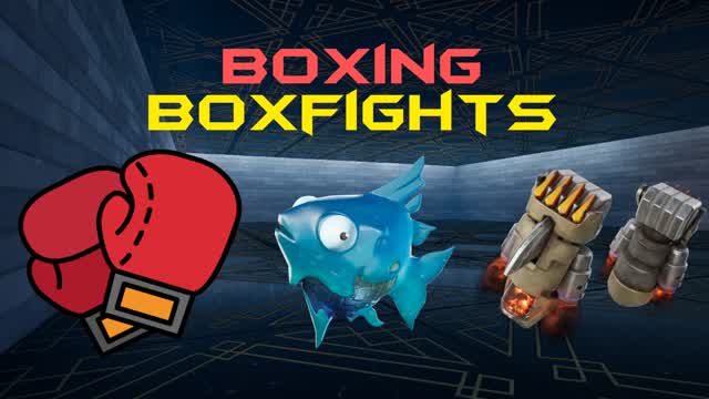 Boxing Boxfights