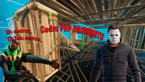 CODRU PVP BOXFIGHT