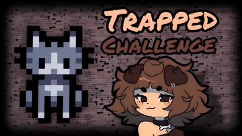 📦 Trapped Challenge 📦