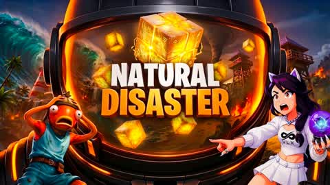 VLX Natural Disaster