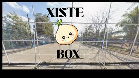 XISTE box