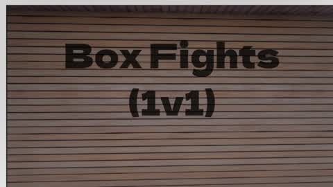 Box Fights (1v1)