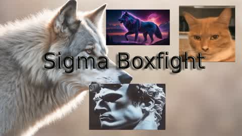 Brainrot boxfight