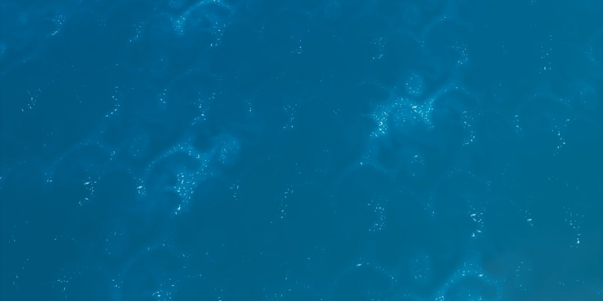 Map Image 2