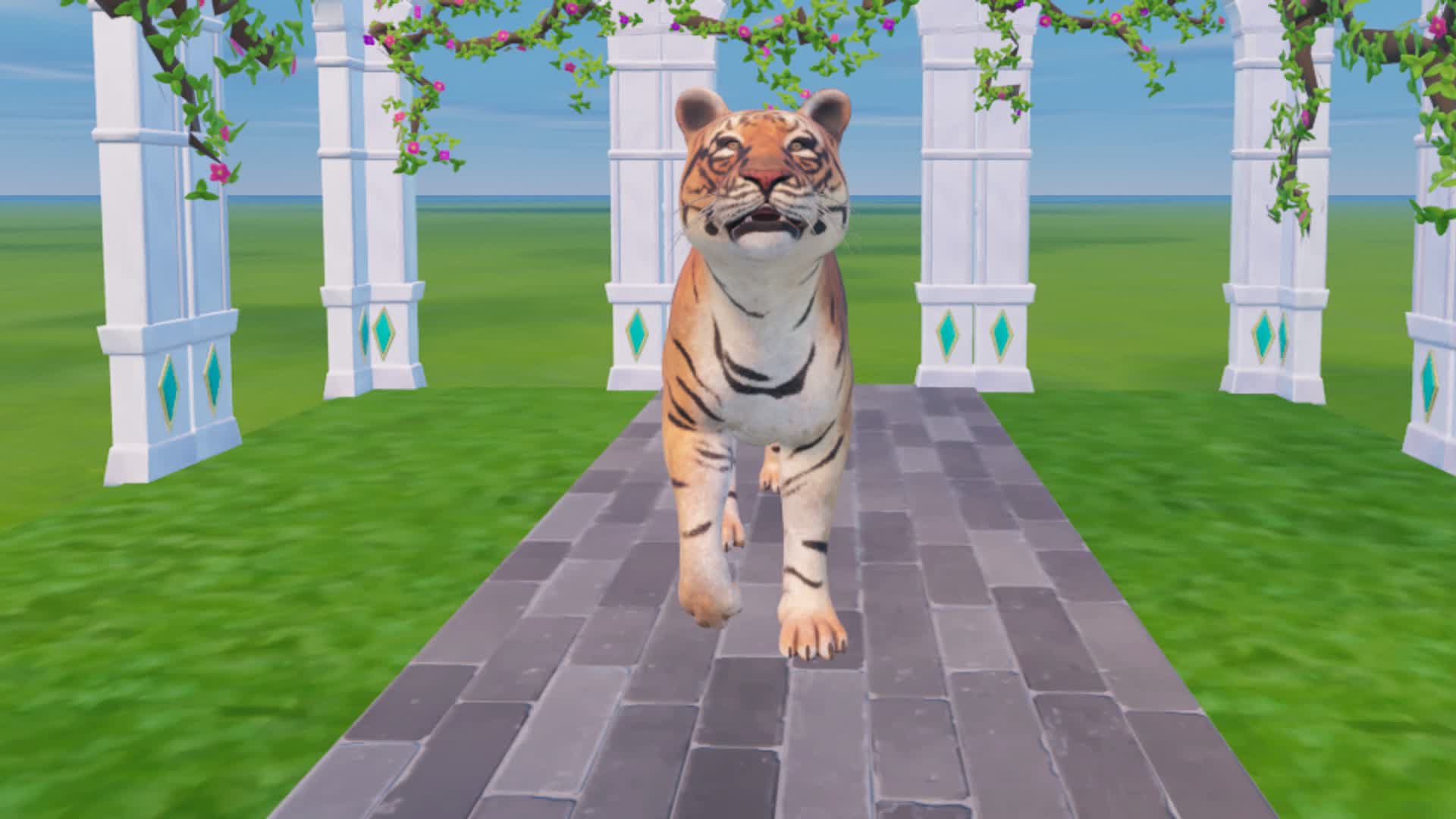 MEET TIGER