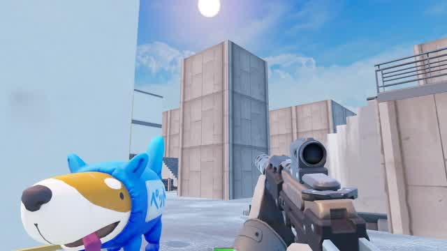 BALLISTIC WEAPON FFA