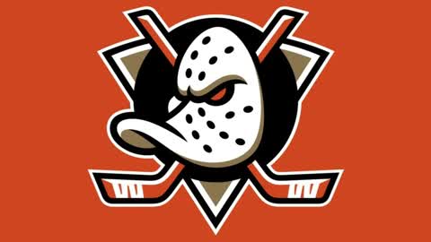 Honda Center (ANA)