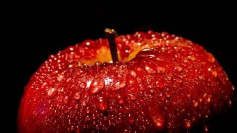 APPLE 1V1S
