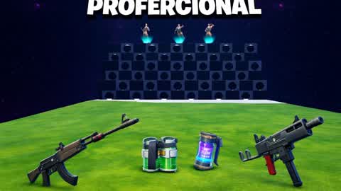 PROFERCIONAL ZONE WAR
