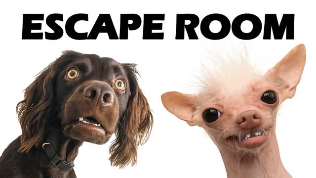 đ§ ESCAPE ROOM đȘ BRAINROT MEMES