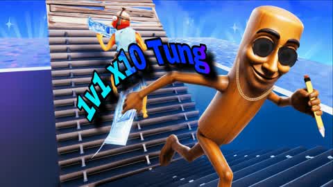 1v1 X10 Tung