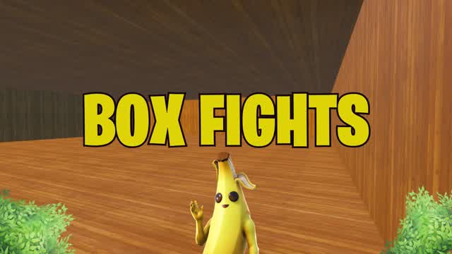 Box fight Fistv