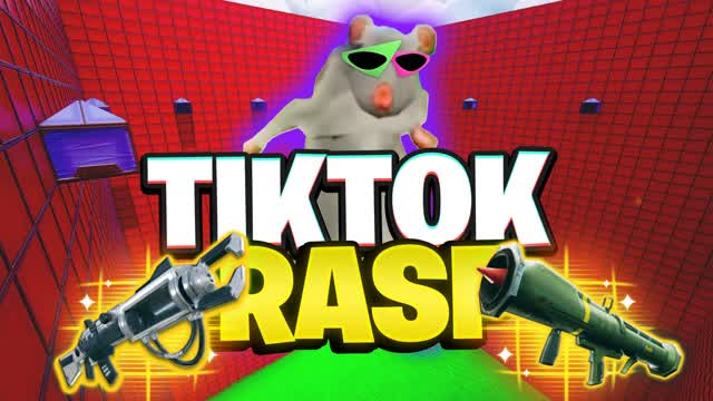 Capture 2 – TIKTOK RASF 🐭