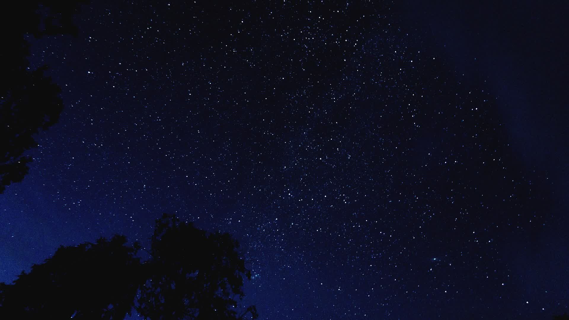 CFC| 3v3v3v3 CQC TDM with NO Respawns