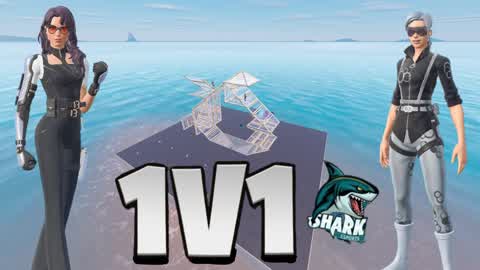 1V1 (SKR VERSION'S)