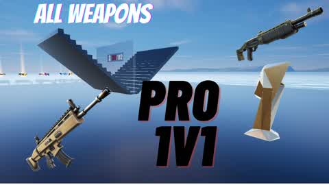 pro Fight 1v1