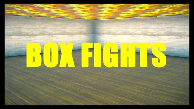 Box Fights