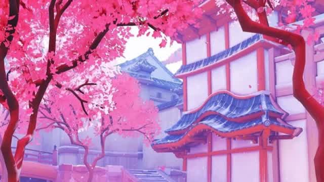 💫CUTEST BOX FIGHTS💫