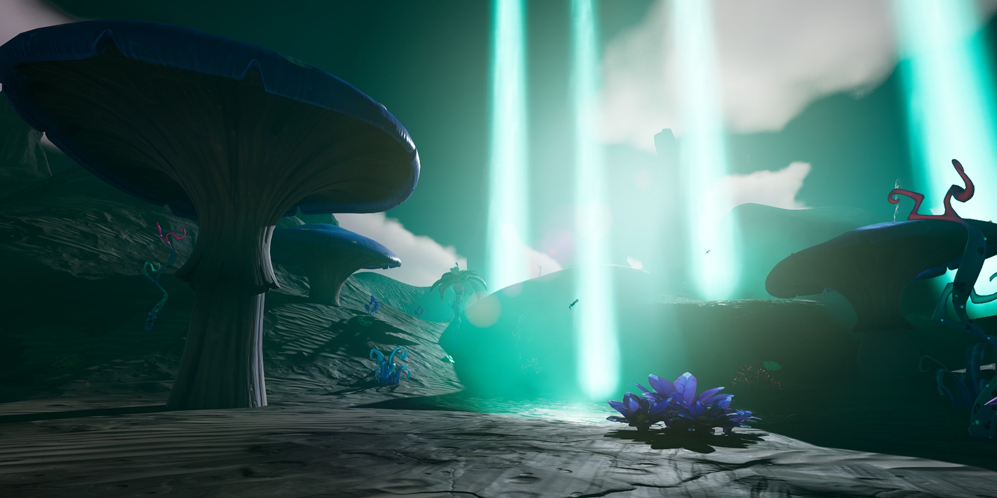 SPACE ROCKS!