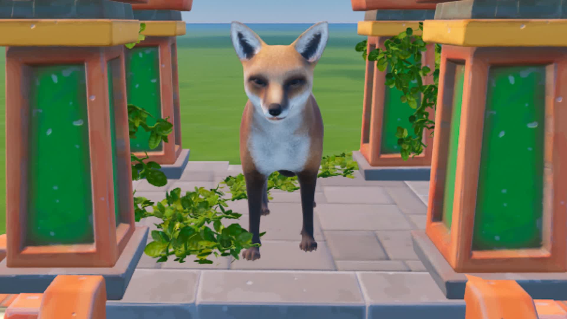 MEET FOX