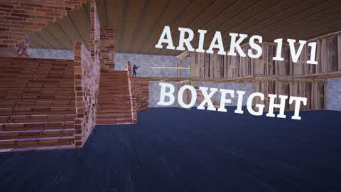 ARIAKS 1V1 BOXFIGHT
