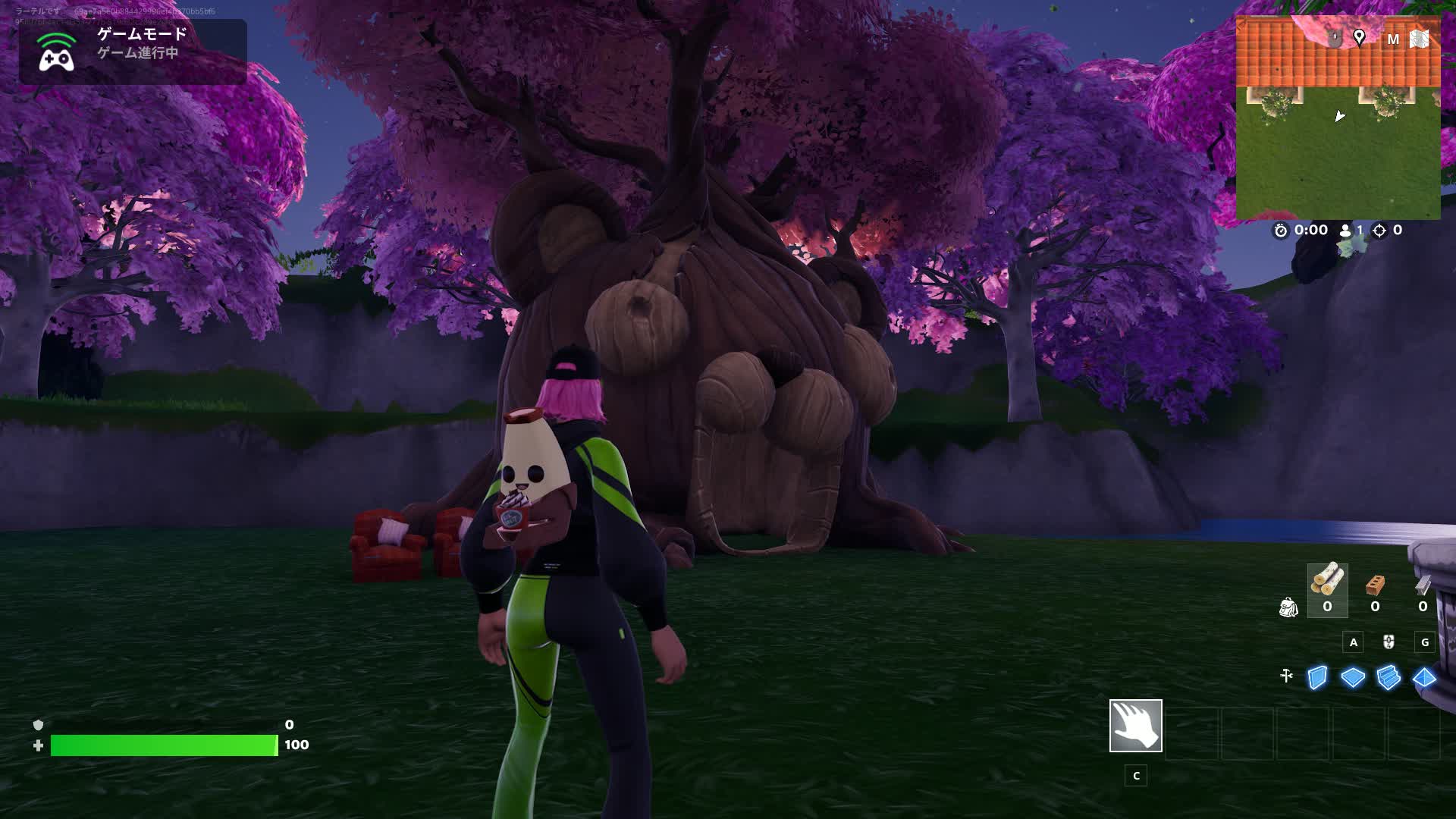 hanami