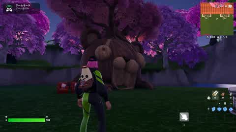 Hanami