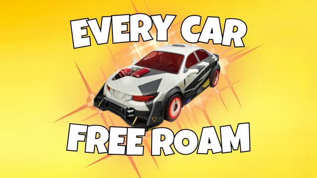 HAVE FUN WITH EVERY CAR - FREE ROAM