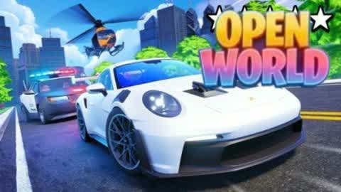 THE OPEN WORLD DRIVER 🌃