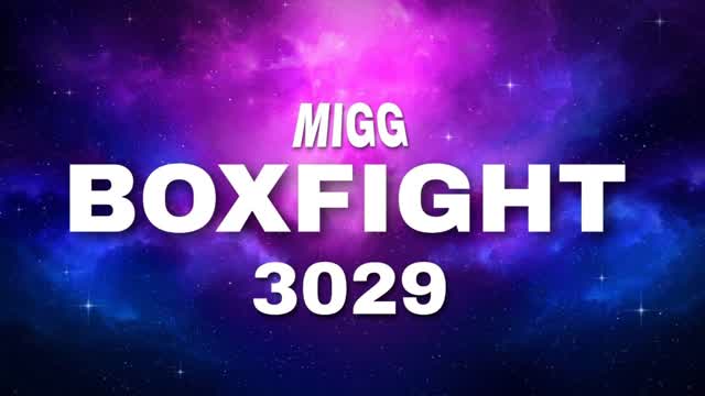MIGG | Boxfight 3029
