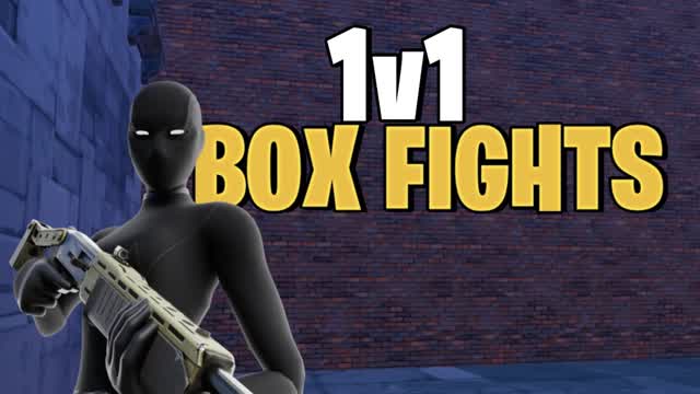 1v1 Box Fights