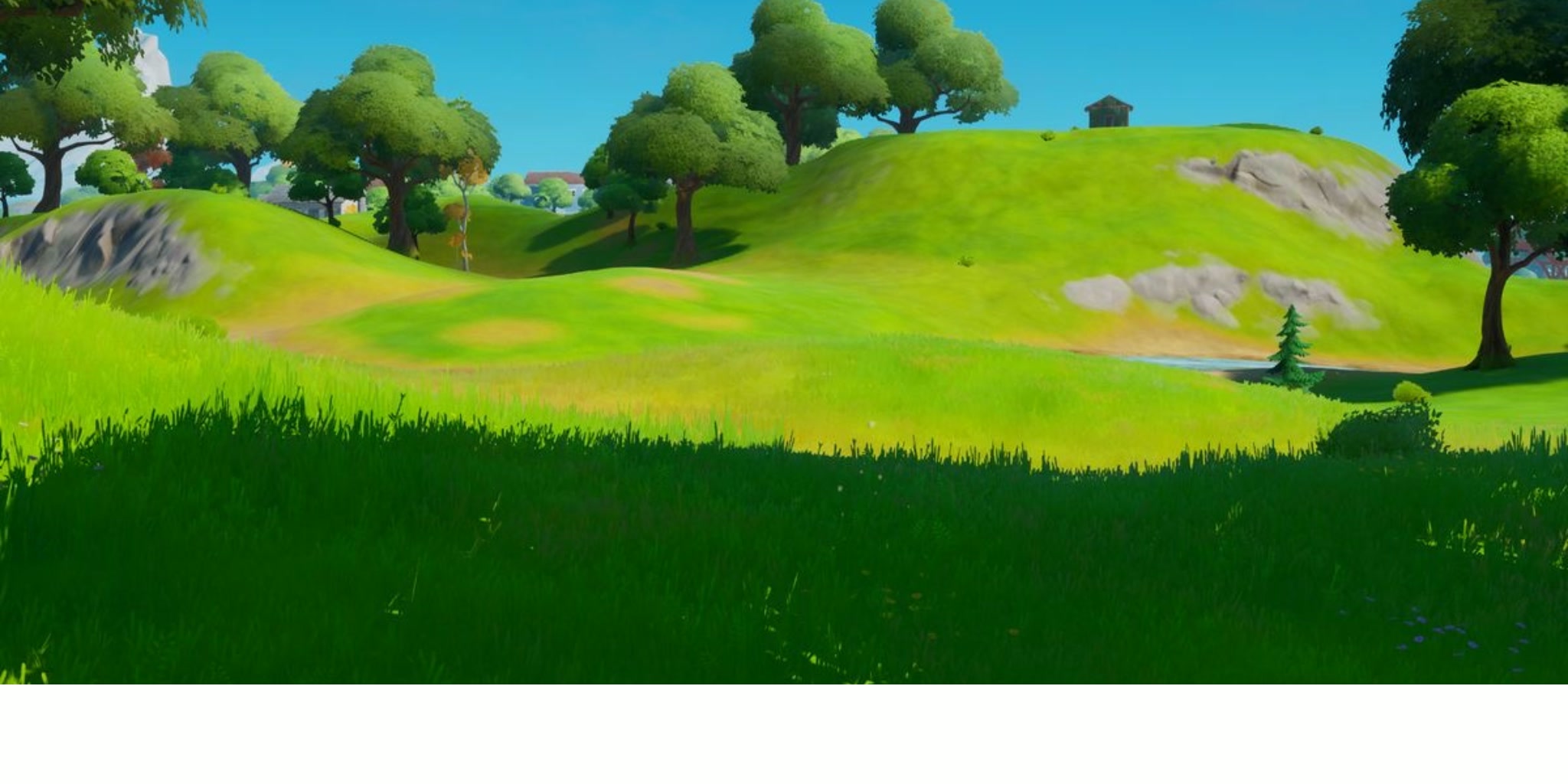 Map Image 2