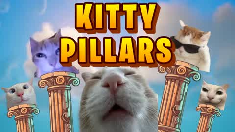 Kitty Pillars 🐈