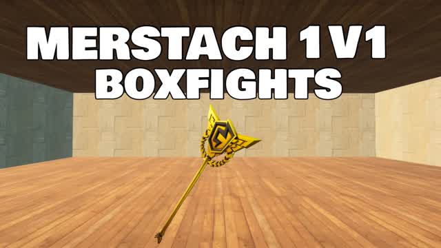 MERSTACH 1V1 BOXFIGHTS