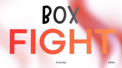 ERRY BOX FIGHT