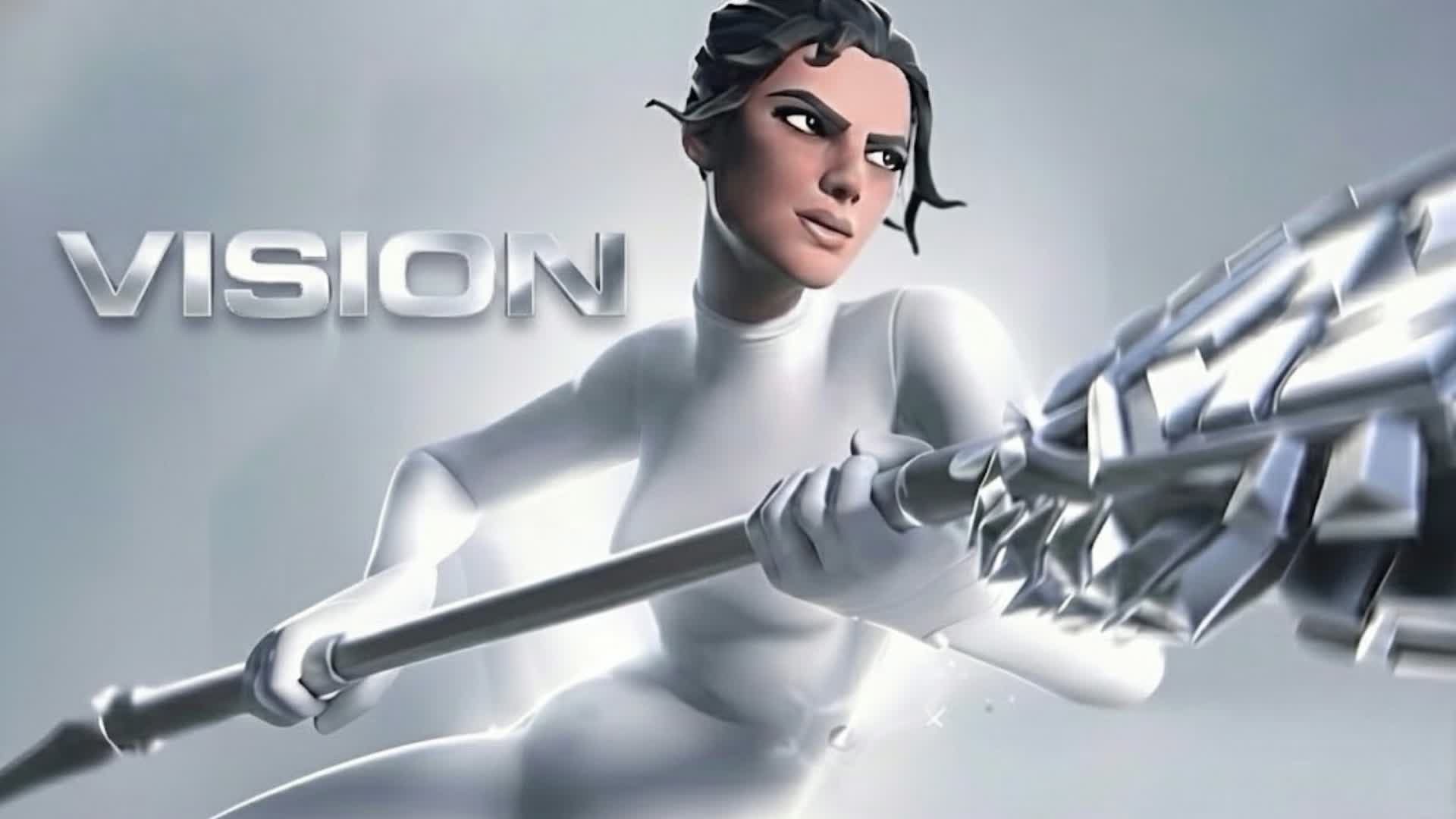 ヴィジョンの1対1