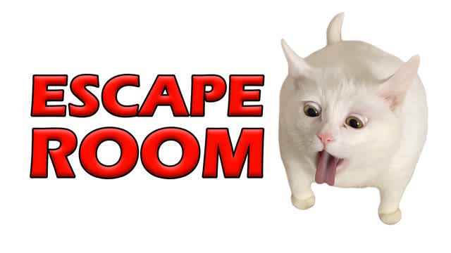 🔑 CAT ESCAPE ROOM 🧠 50 PUZZLES 🚪