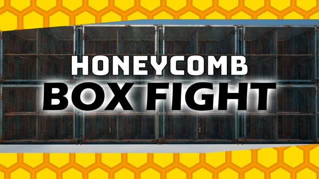 HONEYCOMB BOX FIGHTđŠ (Edit Wars)