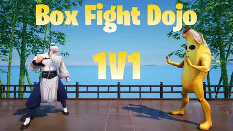 Box Fight Dojo (1v1)
